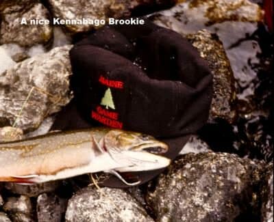 Salmon and Brook Trout Fishing