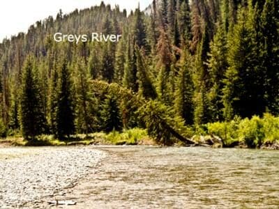 Greys River