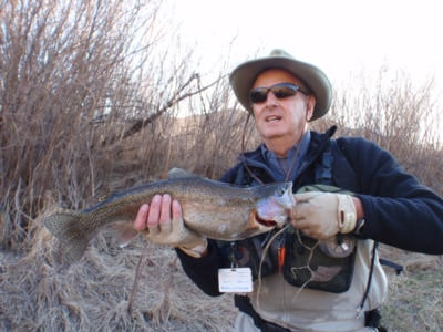 San Juan River Navajo Dam Fishing